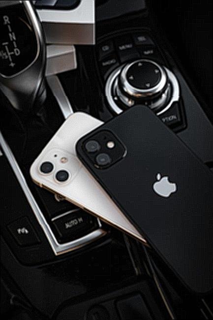 Uredaji za Reprodukciju Video Sadrzaja u Automobilu